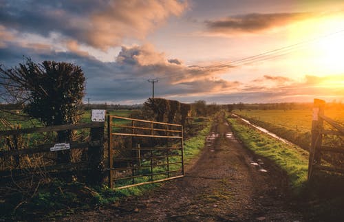 Agri-tourism and Farm Trails